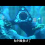 史皇荷兰弟配音新片《变身特工》新预告 传奇特工变身呆萌蓝鸽